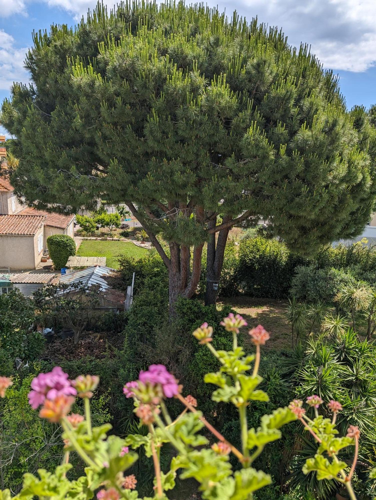 Studio Calme Dernier Etage Antibes Extérieur photo